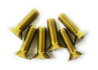 NRG  Titanium Steering Wheel Screws - SWS-100TI-GD