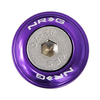 NRG Fender Washer Kit, Set of 10 (Purple) Rivets for Plastic FW-100PP