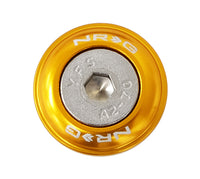 
              NRG Fender Washer Kit, Set of 10 (Rose Gold) Rivets for Metal FW-110RG
            